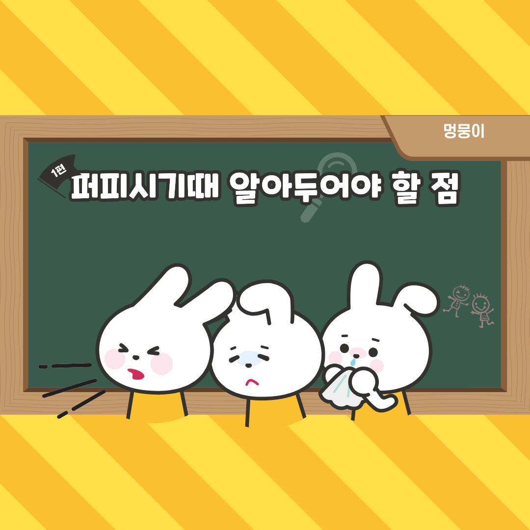 퍼피 시기때 알아두어야 할 점