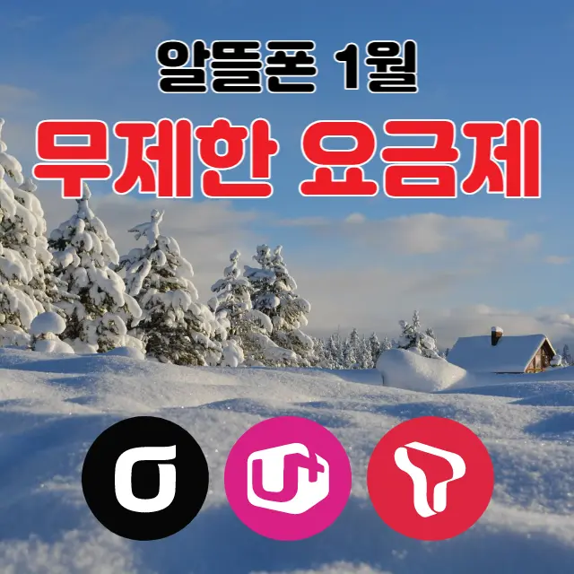 알뜰폰-1월-무제한요금제