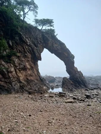 승봉도 배시간표 배편 요금 배편 예약_22