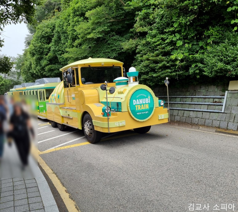 부산 태종대 폭염 여행 리얼후기🌊 여름 필수템 8가지 추천