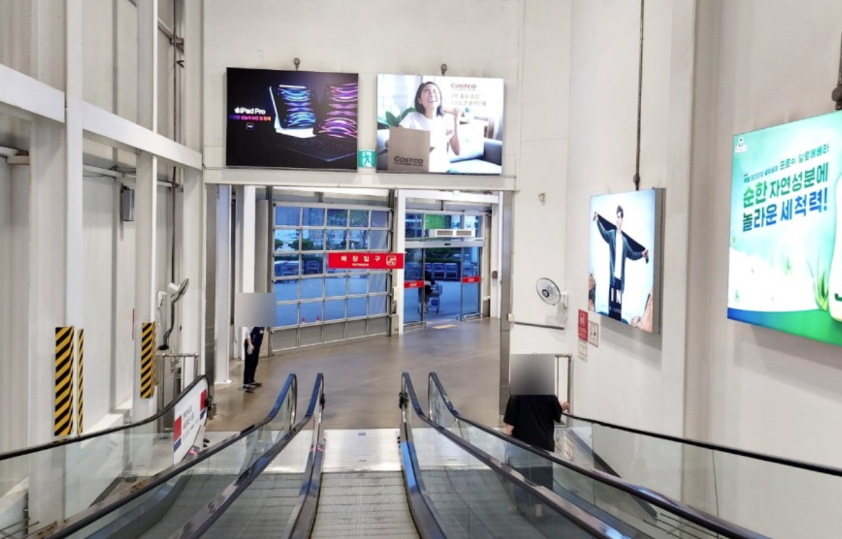 2025년 코스트코 회원권 연회비 인상! 갱신, 추가 발급, 환불까지 완벽 정리