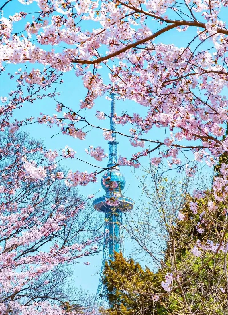 Zhongshan Park (중산공원)2