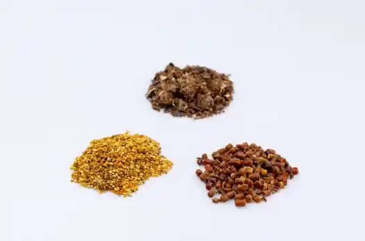 프로폴리스 효능효과 영양성분과 부작용