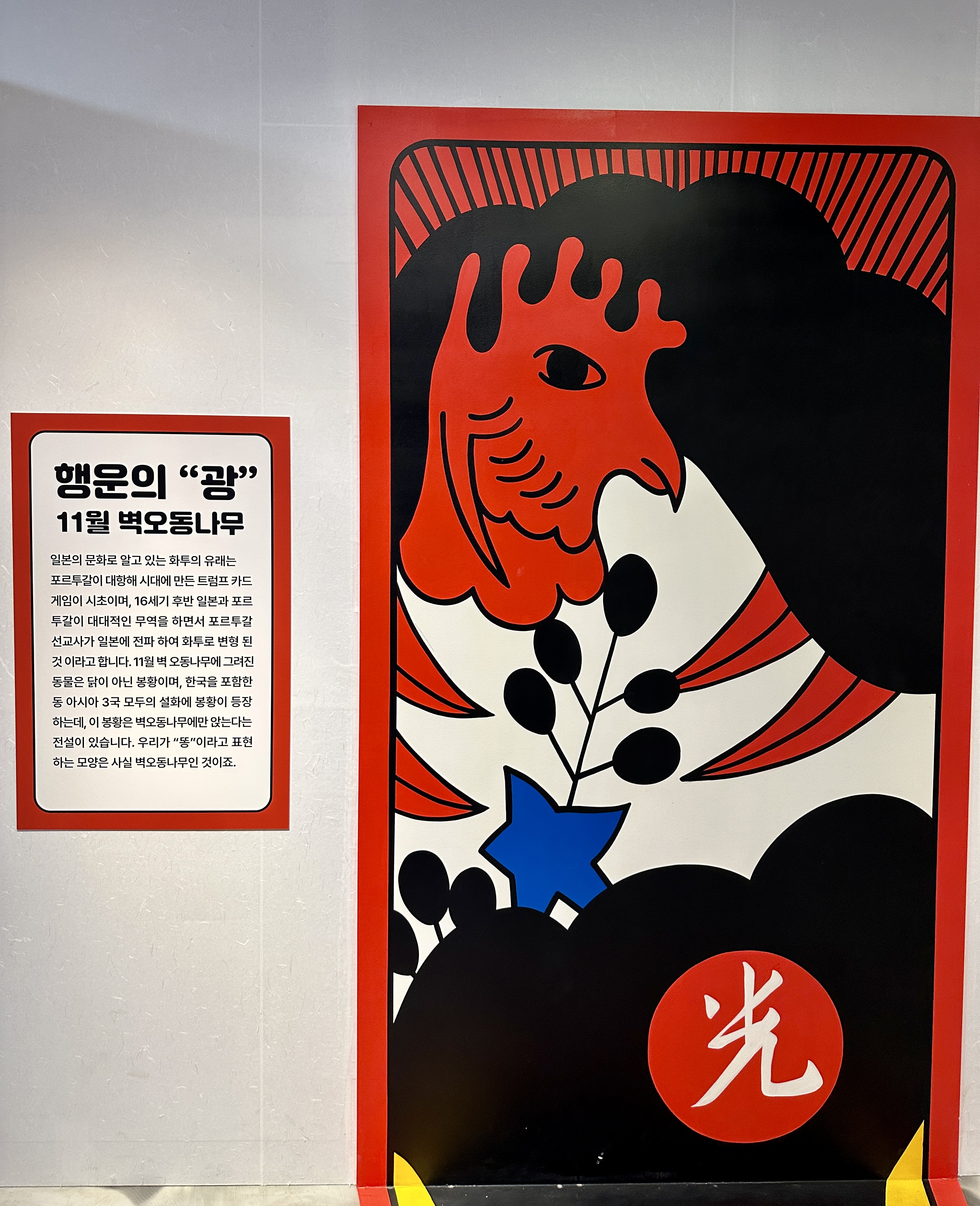 똥광