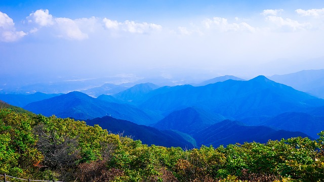소백산 철쭉 개화시기