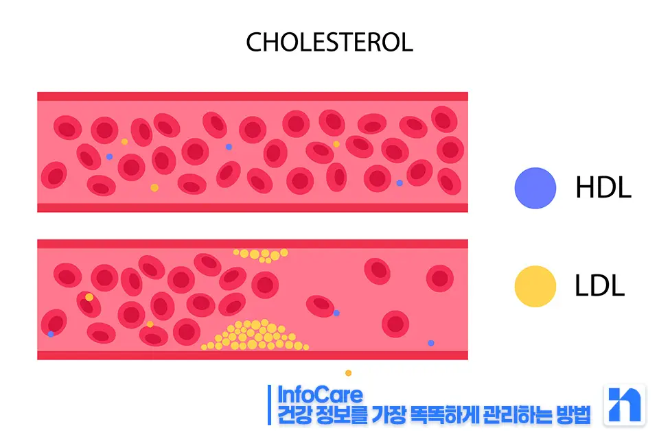 폴리코사놀 효능 효과 복용법 부작용 추천 쿠바산