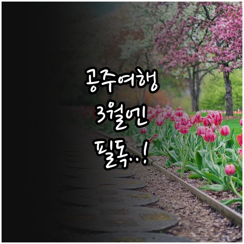 3월 충남 공주 여행 시 주의할 점과..