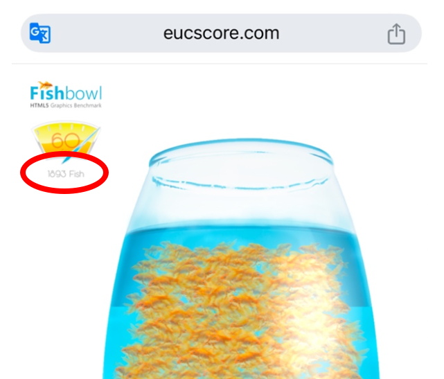 물고기 숫자 표시 화면