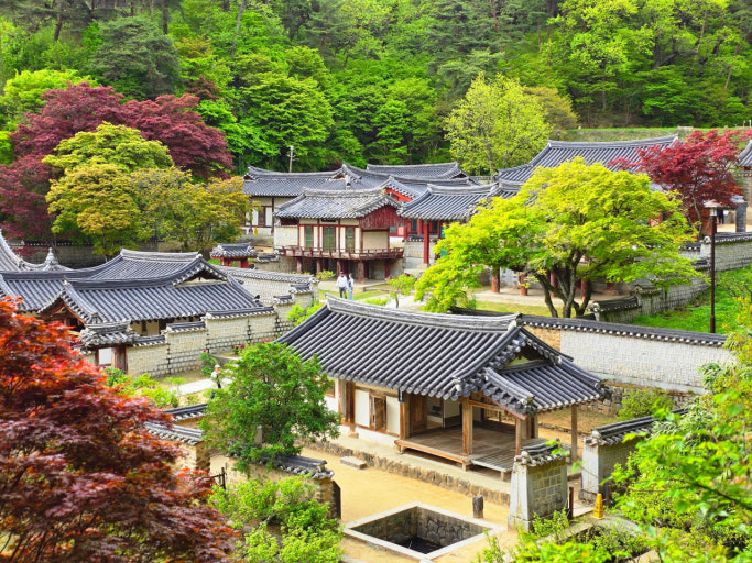 도산서원, 서원스테이란? 프로그램 구성과 참가자 후기 모음 관련 사진