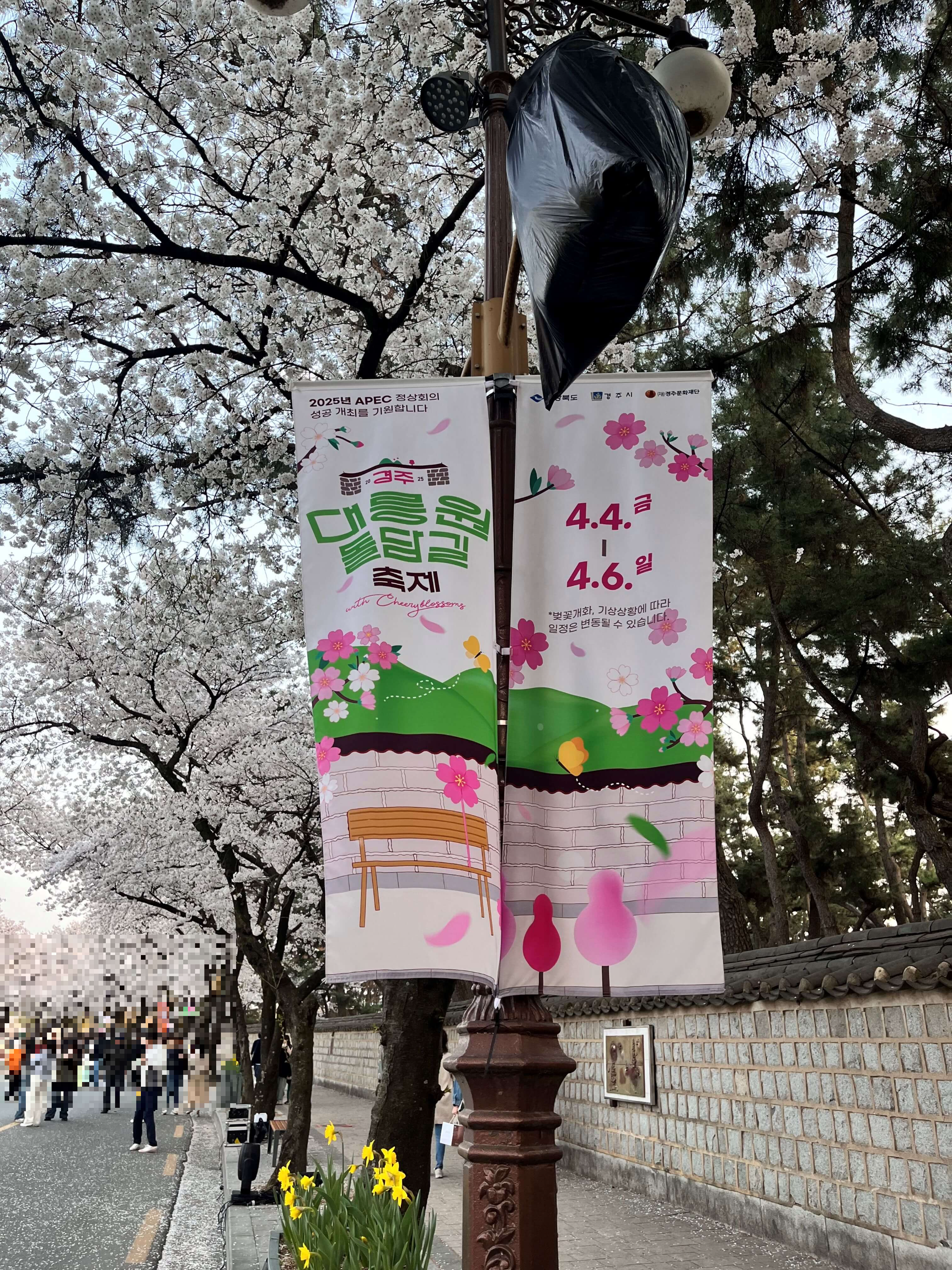 대릉원 돌담길 축제