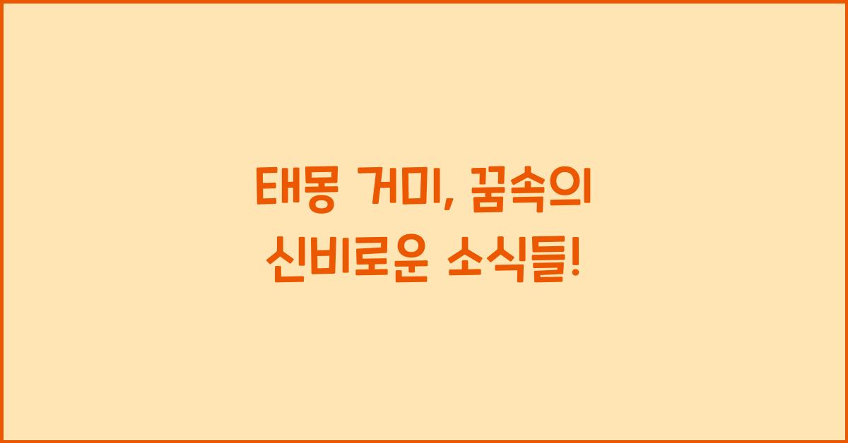 태몽 거미