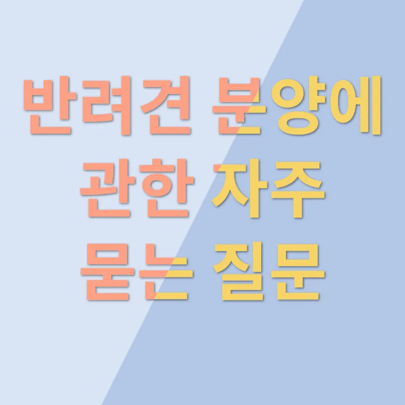 강아지 분양_4