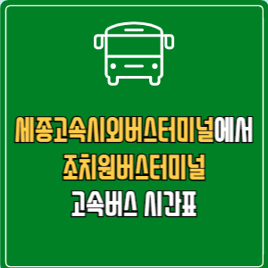 세종고속시외버스터미널에서 조치원버스터미널 고속버스 시간표 요금 예매