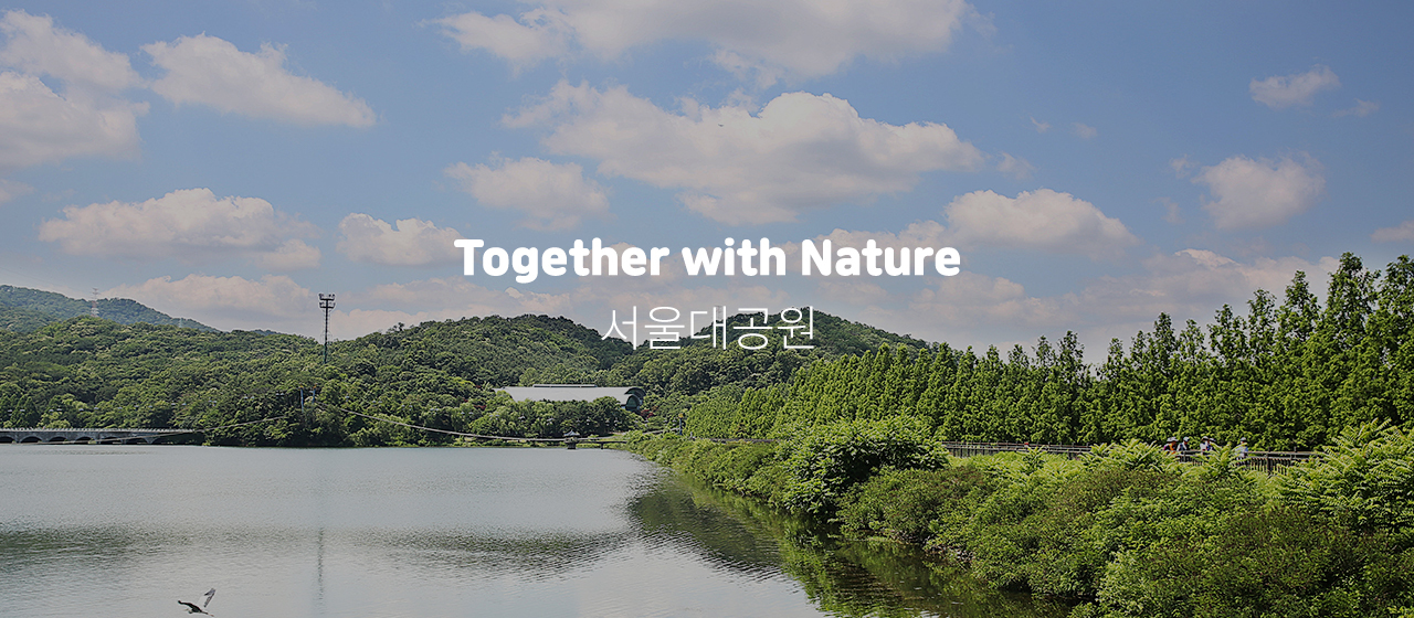 과천 서울대공원