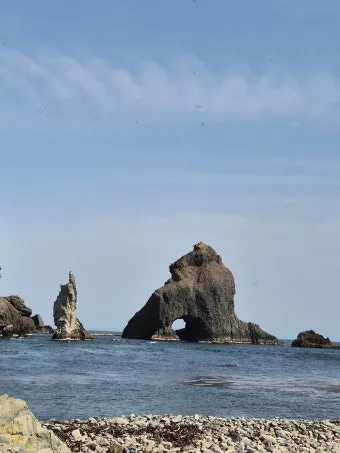 독도 여행 코스 배시간 관람 포인트 울릉 연계 일정 팁_23