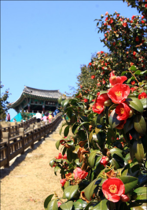 서천주꾸미축제