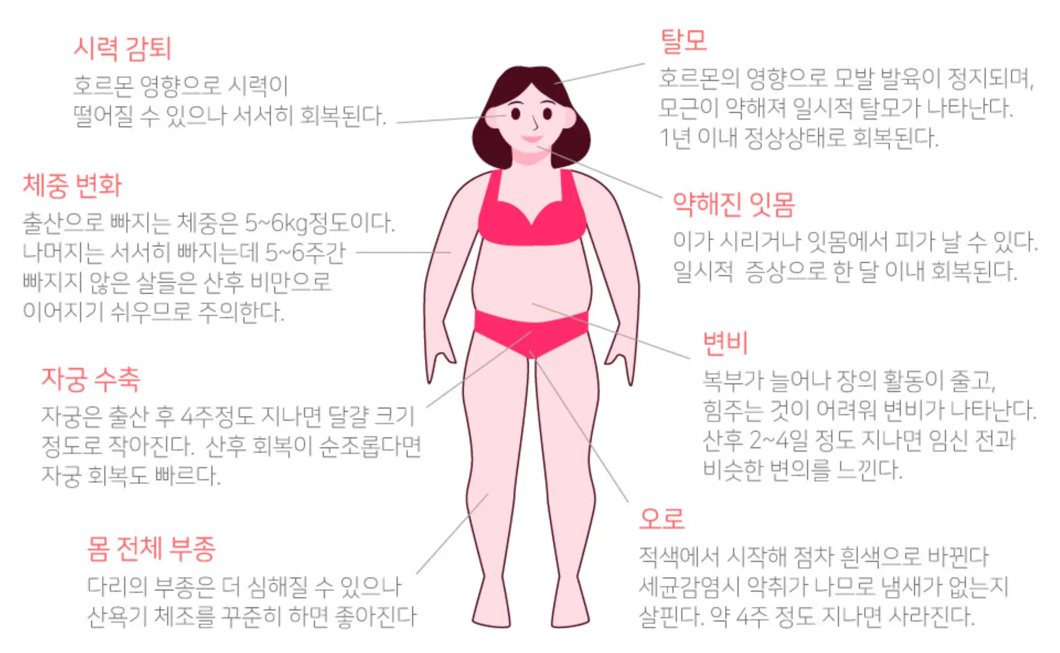 출산 후 몸의 변화