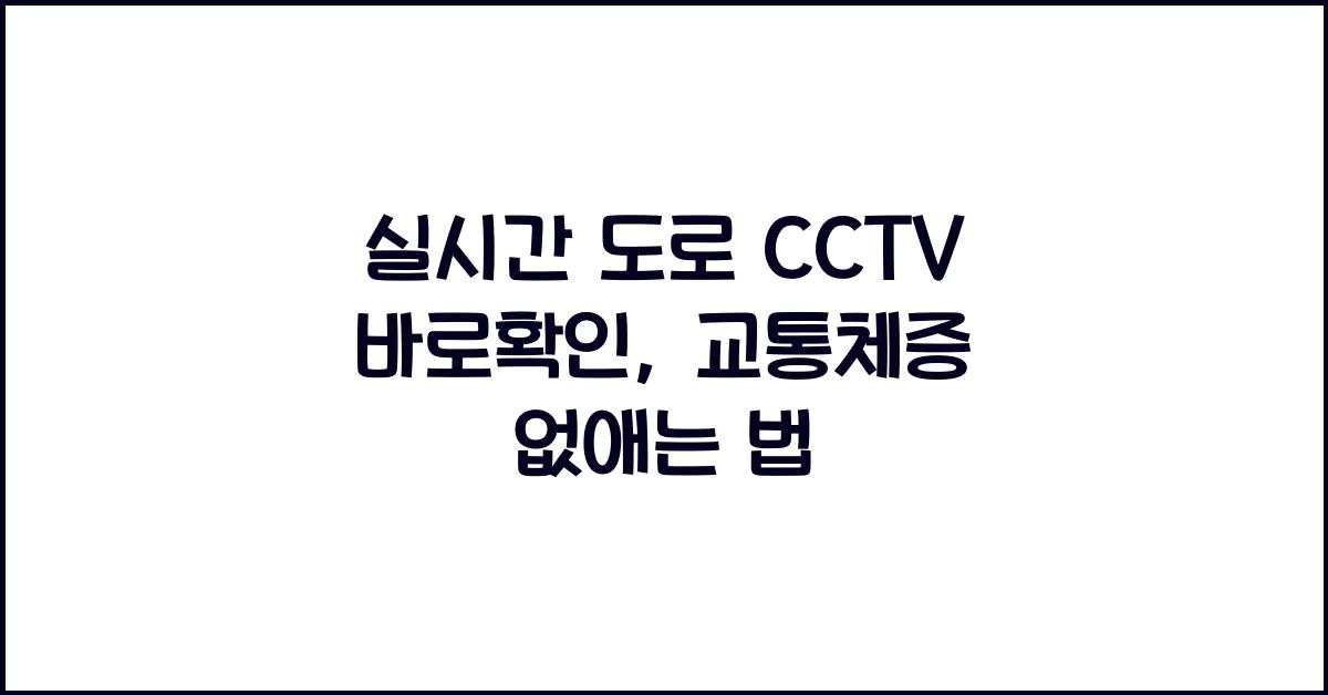 실시간 도로 cctv 바로확인
