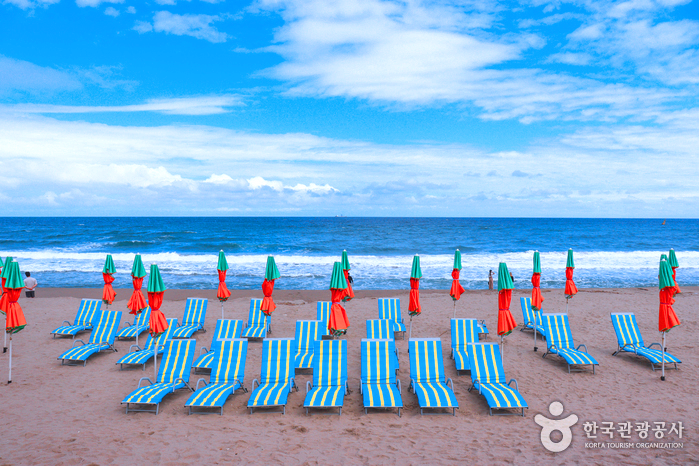 바다앞에 썬베드가 여러개 있다.