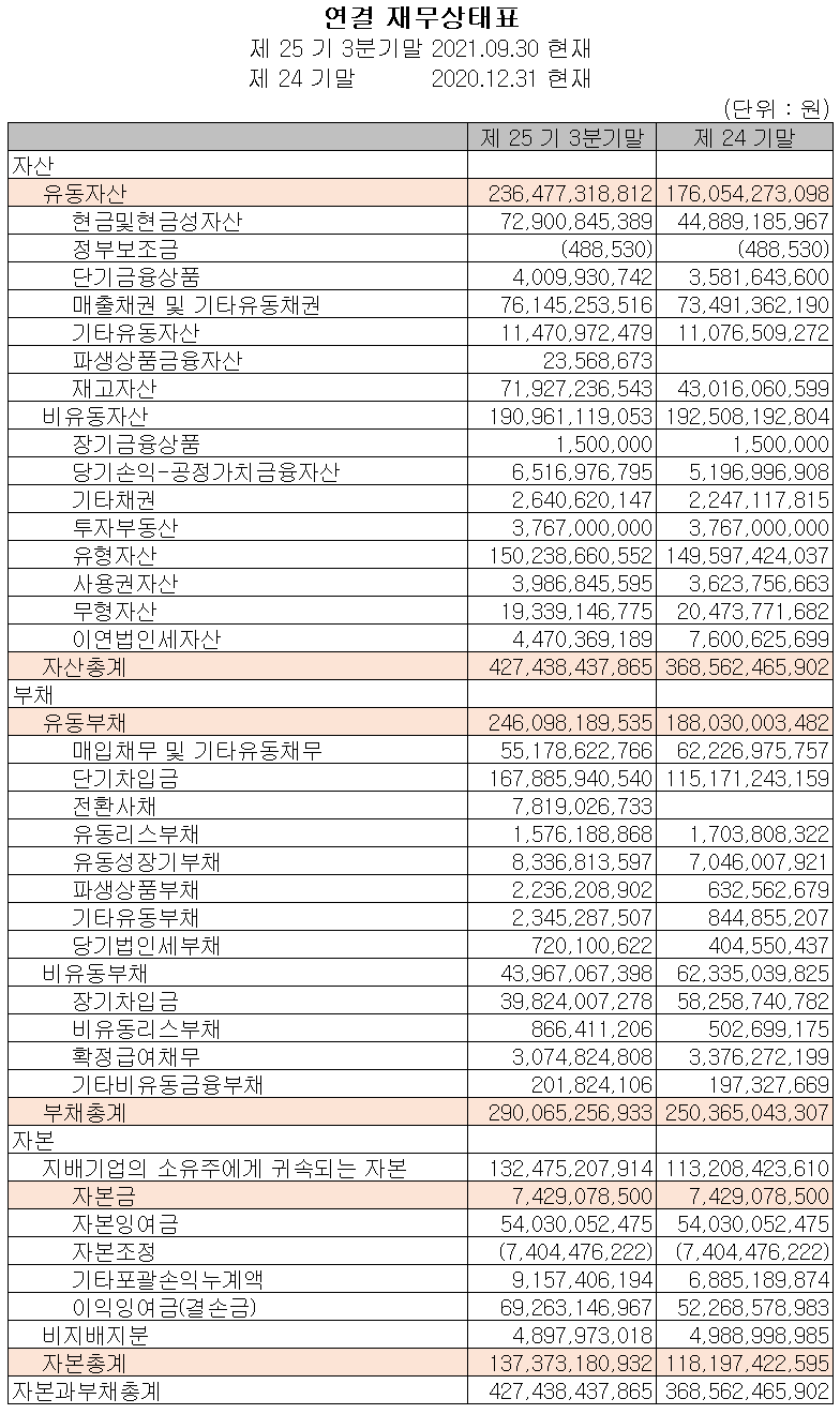 (주)켐트로닉스 재무상태표