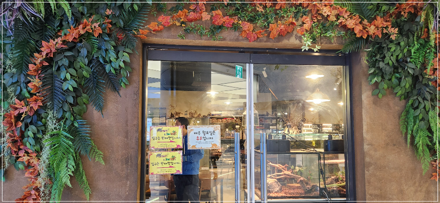 롯데시네마-판교-주차-가볼만한-곳