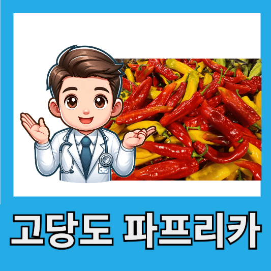 "고당도 파프리카"
