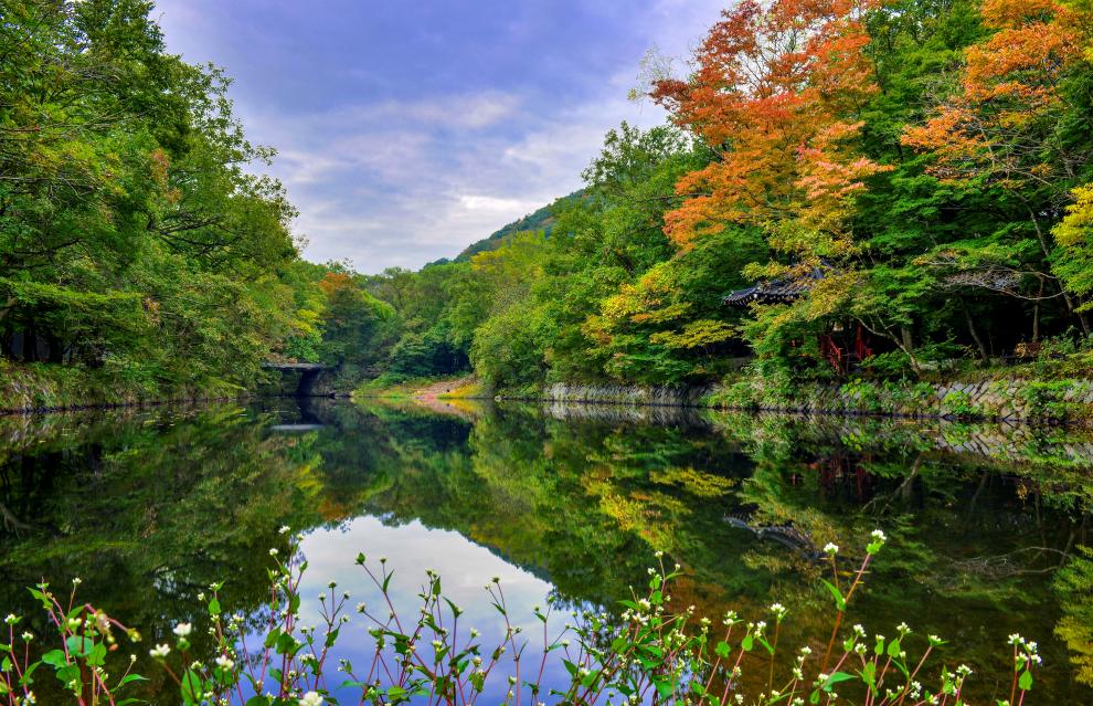 고창 가볼 만한 곳