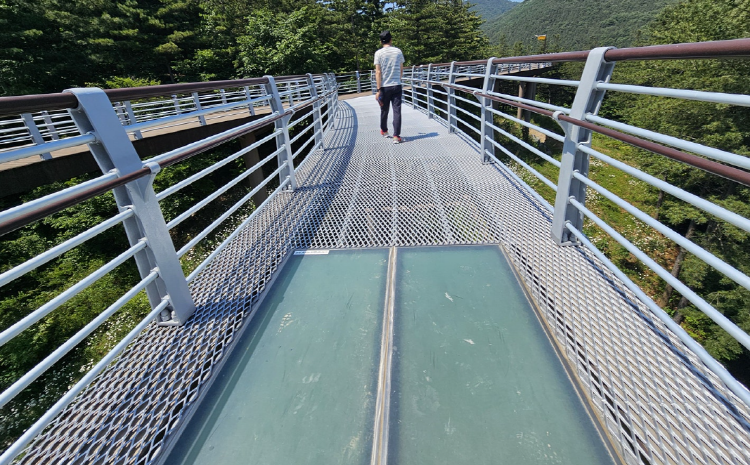 보령 무궁화수목원