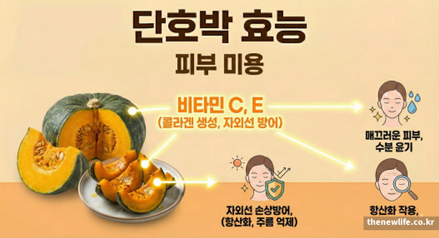 단호박 비타민 C E 성분의 콜라겐 생성 및 자외선 차단 작용을 통한 피부 미용 주름 억제 효능 요약
