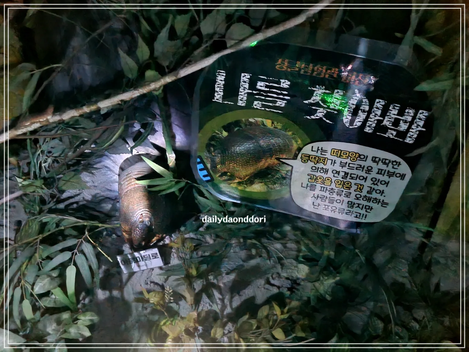 곤충박물관-내부