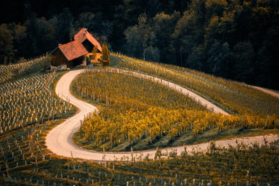 경기도 가을축제