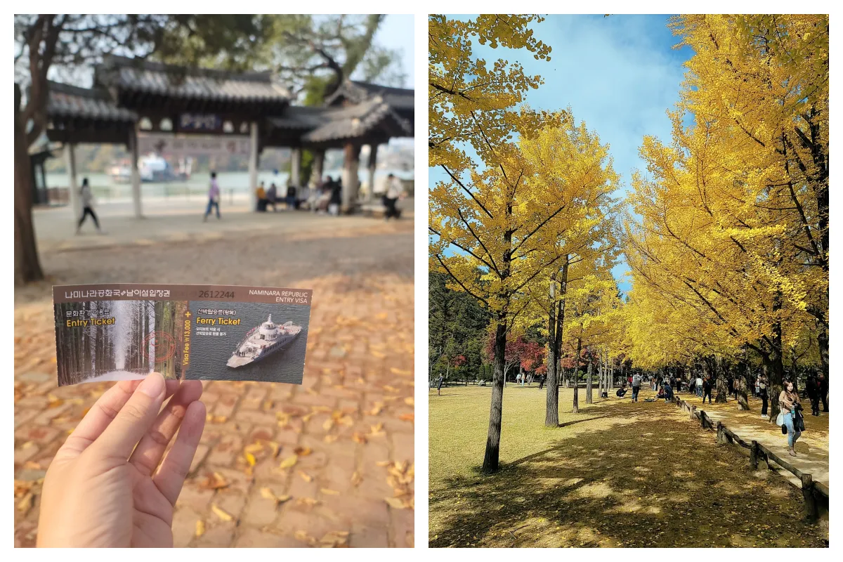 남이섬입장표_은행나무길