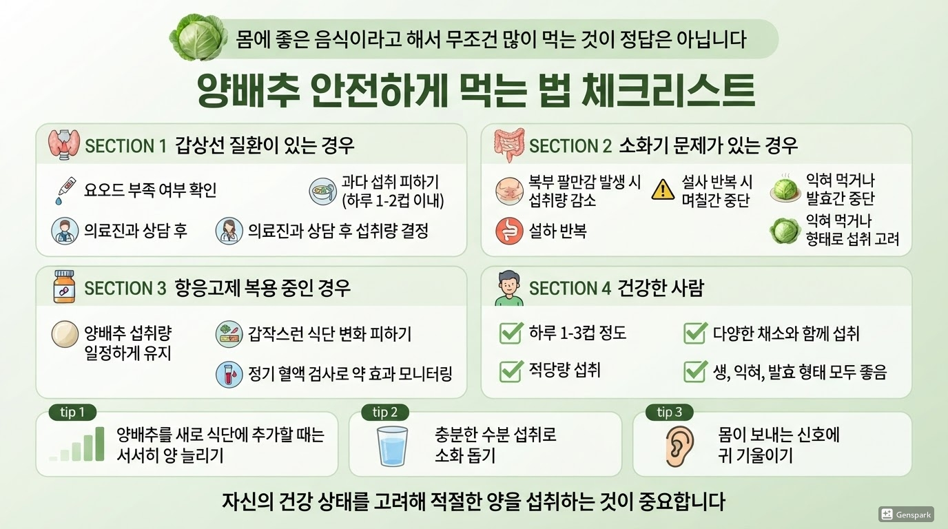 건강 상태별 양배추 안전하게 먹는 법