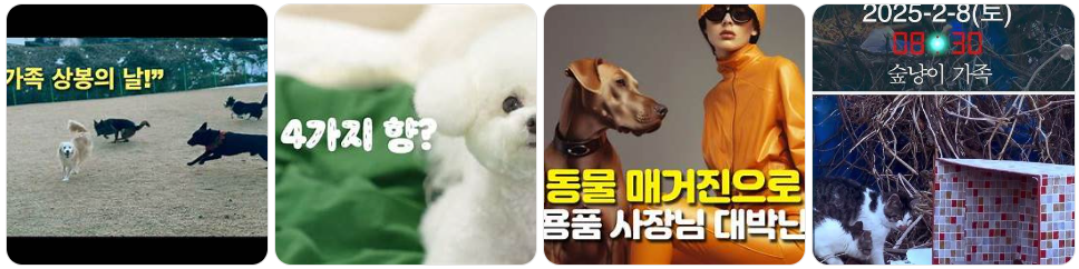 저출산 시대, 반려동물은 가족이 된다 : 코시팅(KST)