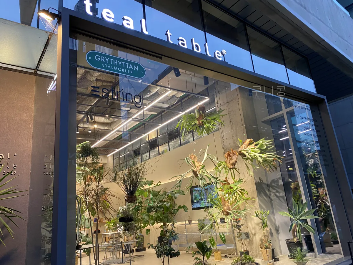 성수동-식집사-갈만한-곳-추천,-식물-구경하기-좋은-틸테이블