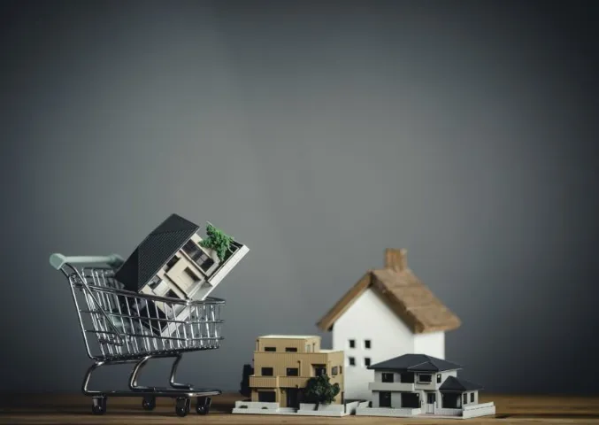 카트에 집을 쇼핑하는 사진