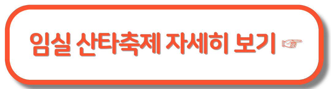 임실 산타축제 크리스마 행사