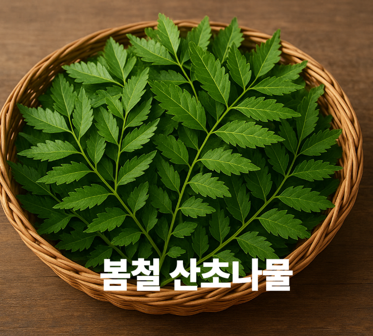 식욕증가 소화불량개선 손발냉증완화 부종게거 산초나물 효능 영양성분