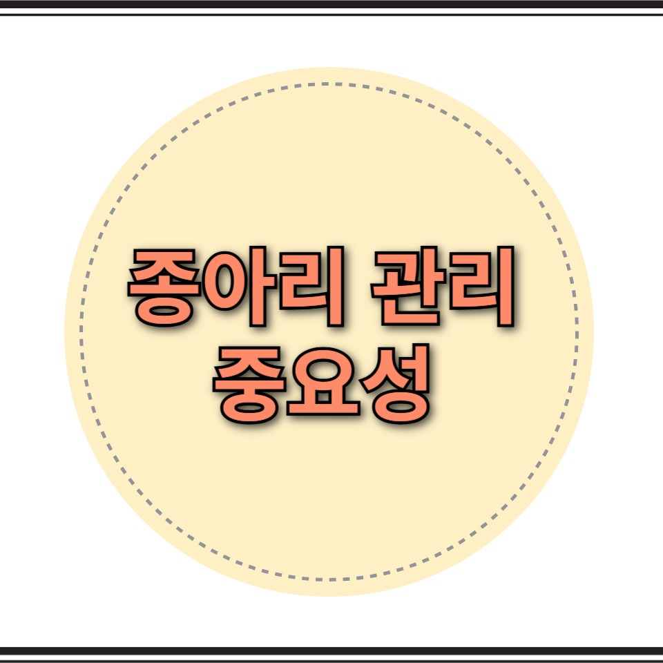 종아리 관리