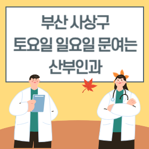 부산 사상구 토요일 일요일 산부인과 진료 병원 리스트