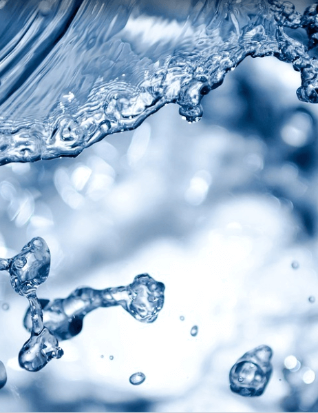 코감기에 좋은 음식 물