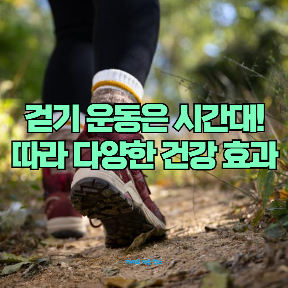 걷기 운동은 시간대에 따라 다양한 건강 효과