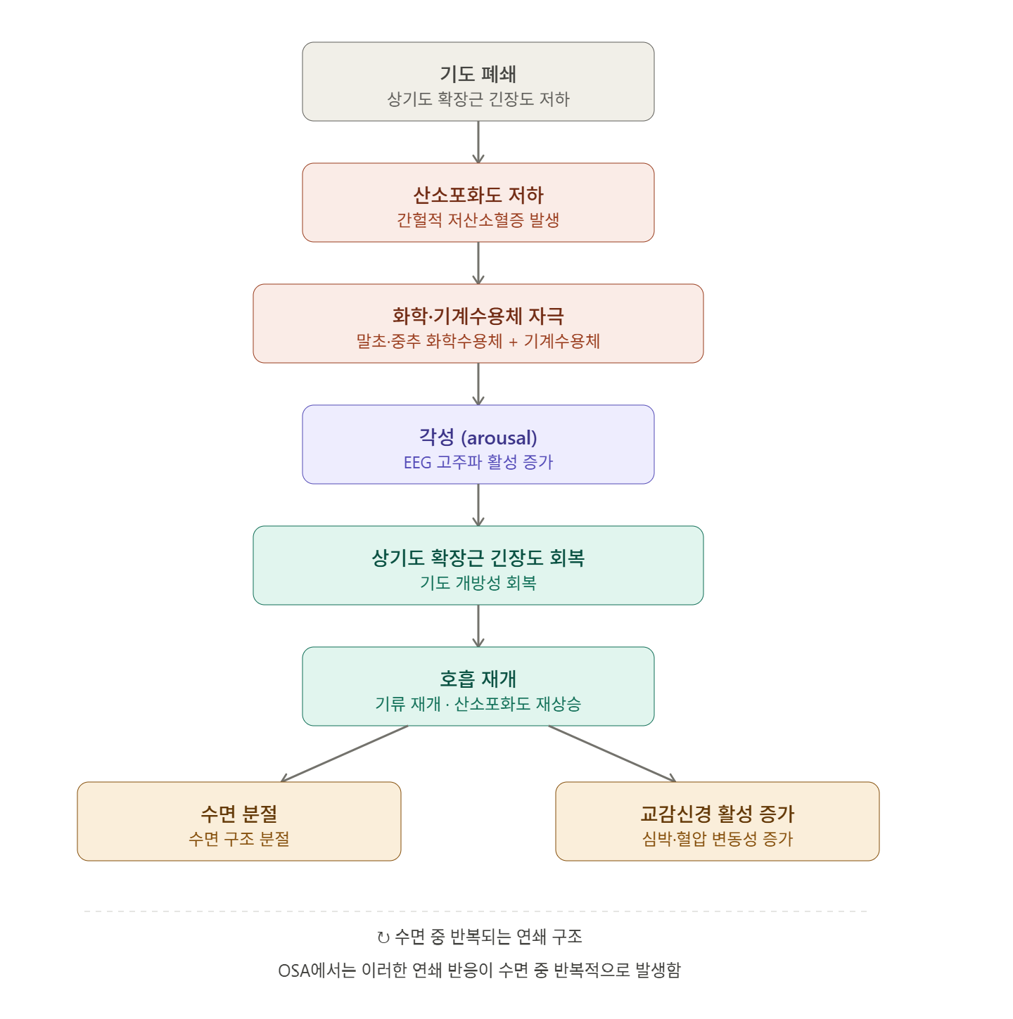 수면무호흡증에서 저산소혈증과 각성(arousal)의 반복적 연쇄 구조 도식