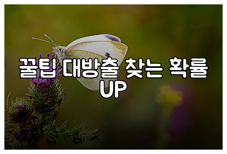 꿀팁 대방출 찾는 확률 UP