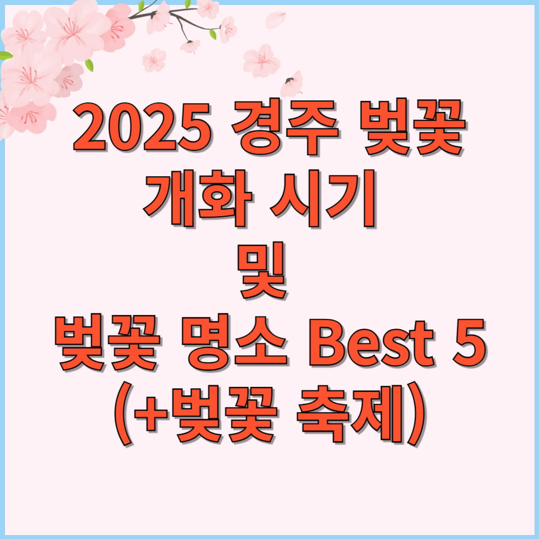 2025 경주 벚꽃 개화 시기 및 벚꽃 명소 Best 5