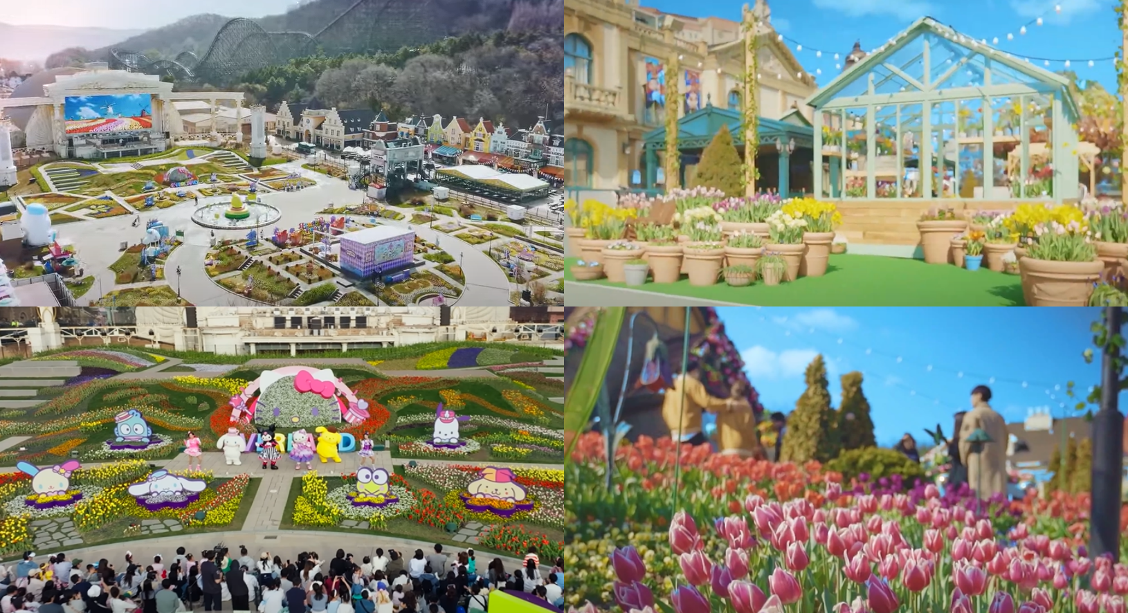 에버랜드 튤립축제