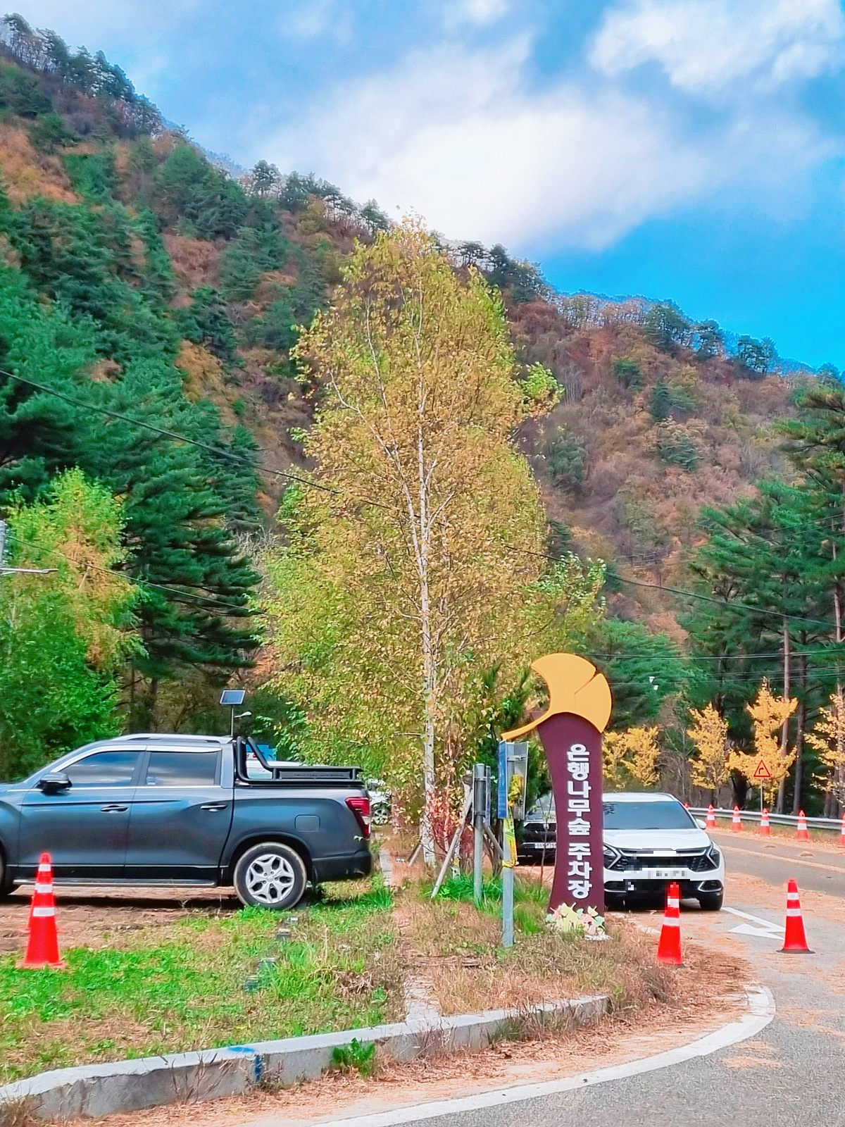 강원도 홍천 은행나무숲 방문 후기(10.23.): 단풍 확인 팁, 먹거리, 숙박