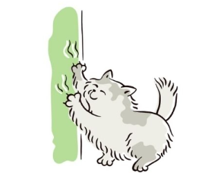 상처