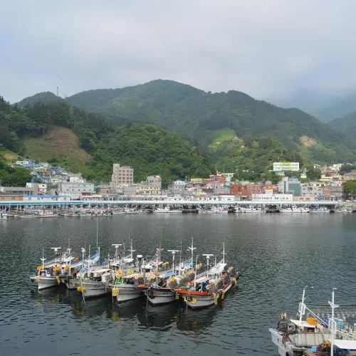 강릉 울릉도 배편