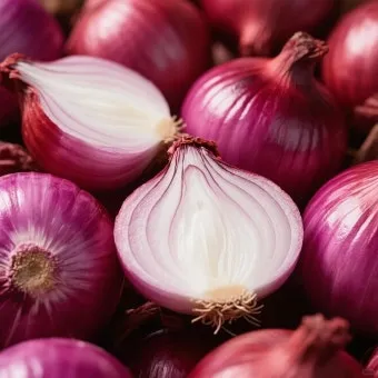 퀘르세틴 효능부족 현상복용방법 시기부작용많은 음식적정량 안내_15